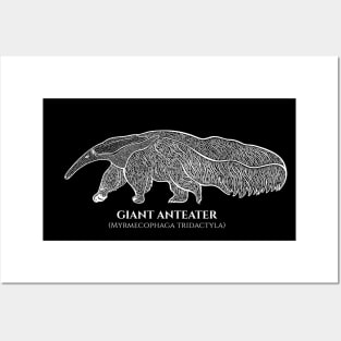 Giant Anteater with Common and Latin Names - animal ink art Posters and Art